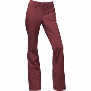 NWT The North Face Apex STH Ski Pants - Women's XS